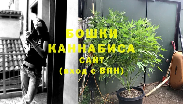 ПСИЛОЦИБИНОВЫЕ ГРИБЫ Тутаев