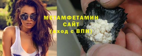 индика Гусев