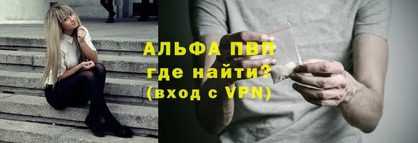 индика Гусев