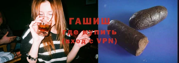 индика Гусев