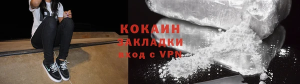 индика Гусев