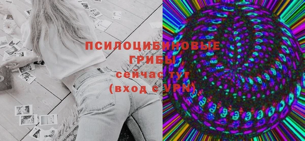 прущая мука Гусиноозёрск