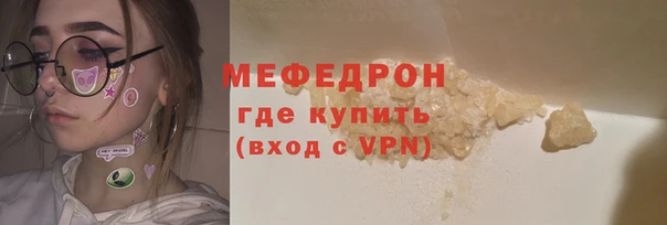 индика Гусев