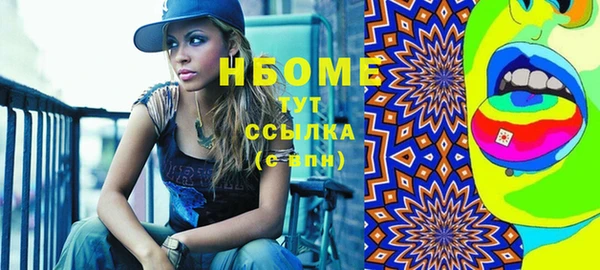 индика Гусев