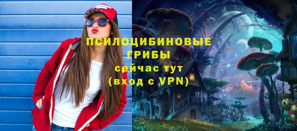 прущая мука Гусиноозёрск