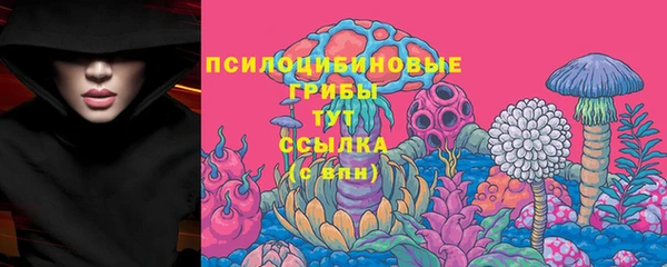 спиды Вязники