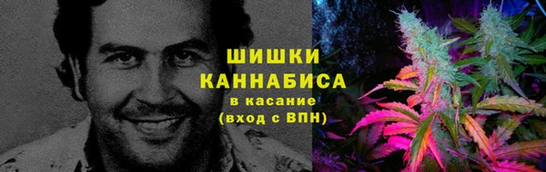 индика Гусев