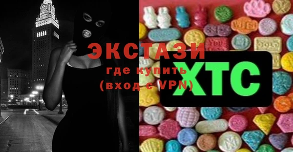 индика Гусев