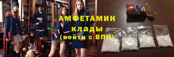 индика Гусев