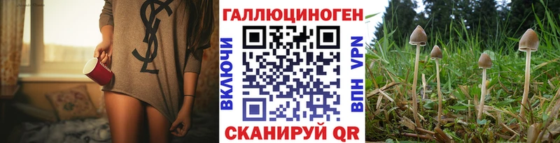 Псилоцибиновые грибы GOLDEN TEACHER  Еманжелинск 